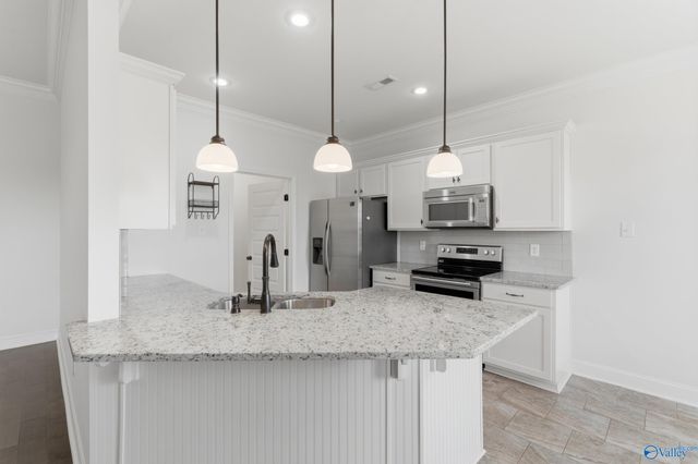 29956 Plantation Park Drive, Harvest, AL 35749
