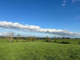 3451 Cynthiana Road, Georgetown, KY 40324