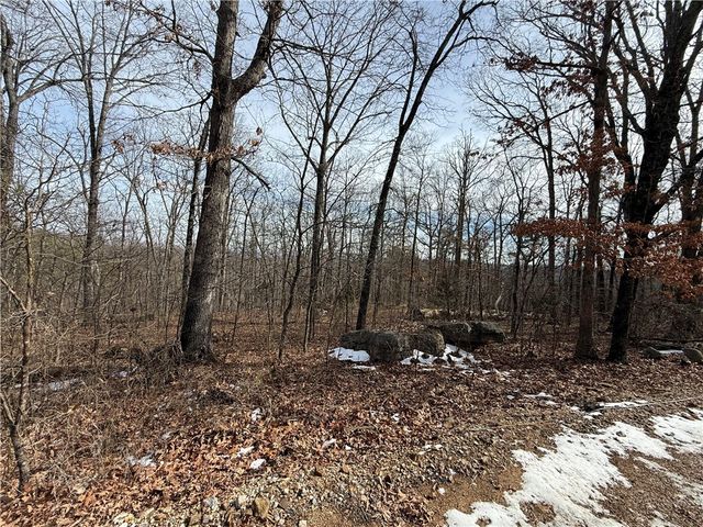 Tract 4 Cardinal Ridge Road, Eureka Springs, AR 72632