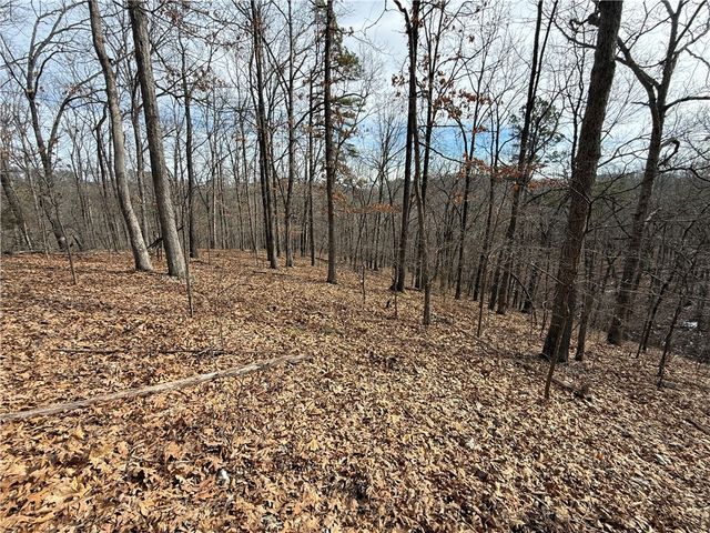 Tract 4 Cardinal Ridge Road, Eureka Springs, AR 72632