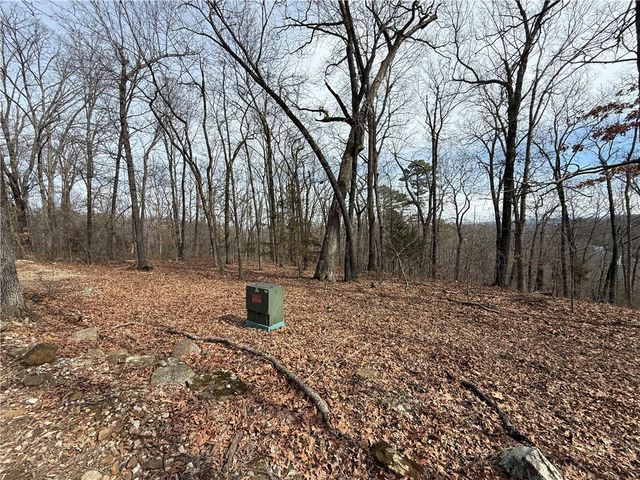 Tract 4 Cardinal Ridge Road, Eureka Springs, AR 72632