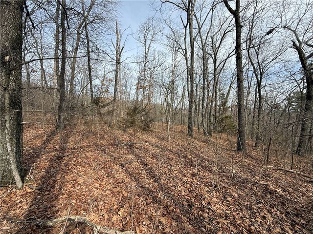Tract 4 Cardinal Ridge Road, Eureka Springs, AR 72632