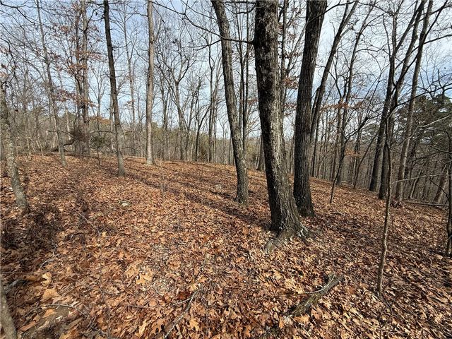 Tract 4 Cardinal Ridge Road, Eureka Springs, AR 72632
