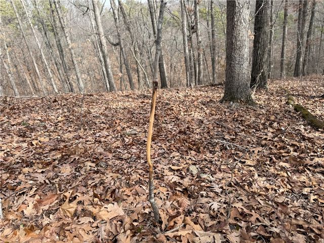 Tract 4 Cardinal Ridge Road, Eureka Springs, AR 72632