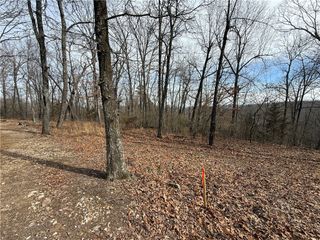 Tract 4 Cardinal Ridge Road, Eureka Springs, AR 72632