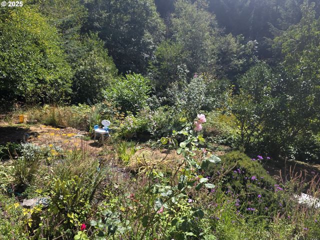 98470 CARLA Ln, Myrtle Point, OR 97458