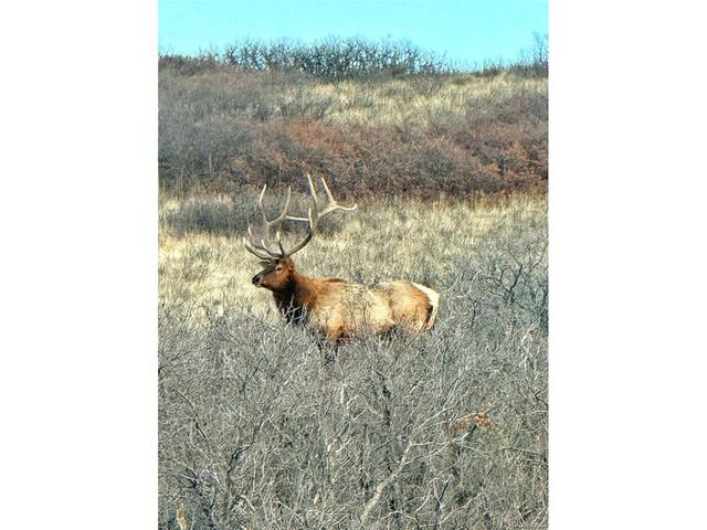 3100 Mccracken Ln, Castle Rock, CO 80104