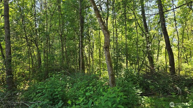 364 xx 48th Avenue S, Auburn, WA 98001