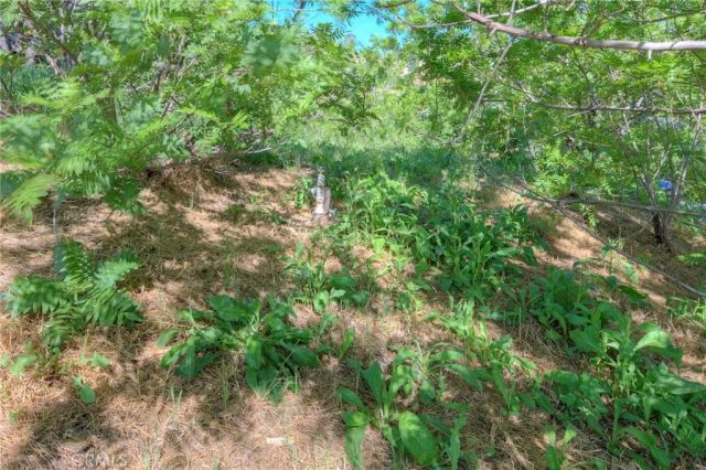 3855 Randolph, Los Angeles, CA 90032