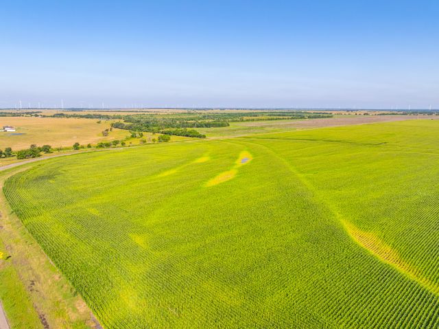 TBD 368.3 acres FM 341, Prairie Hill, TX 76678