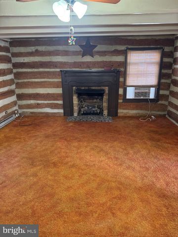 3673 JOHNSON RUN RD, Petersburg, WV 26847