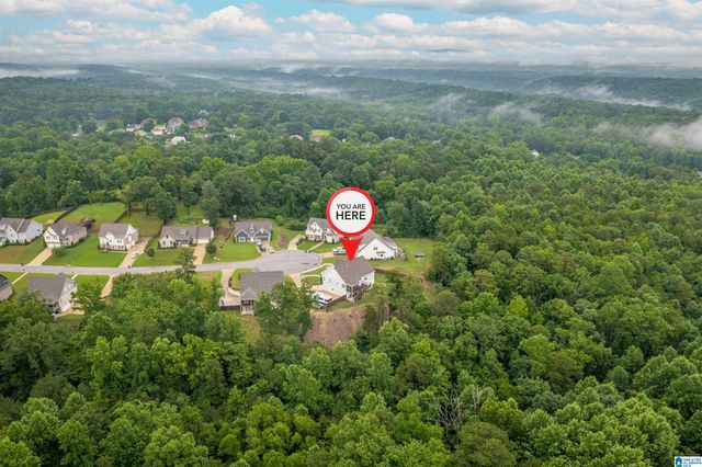3404 CHATHAM CIRCLE, Trussville, AL 35173
