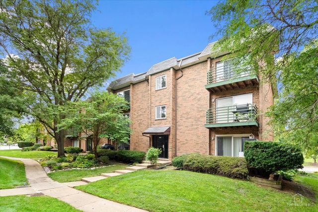 909 Buccaneer Drive 3, Schaumburg, IL 60173