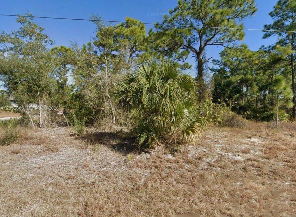 1015 Maddock Street E, Lehigh Acres, FL 33974