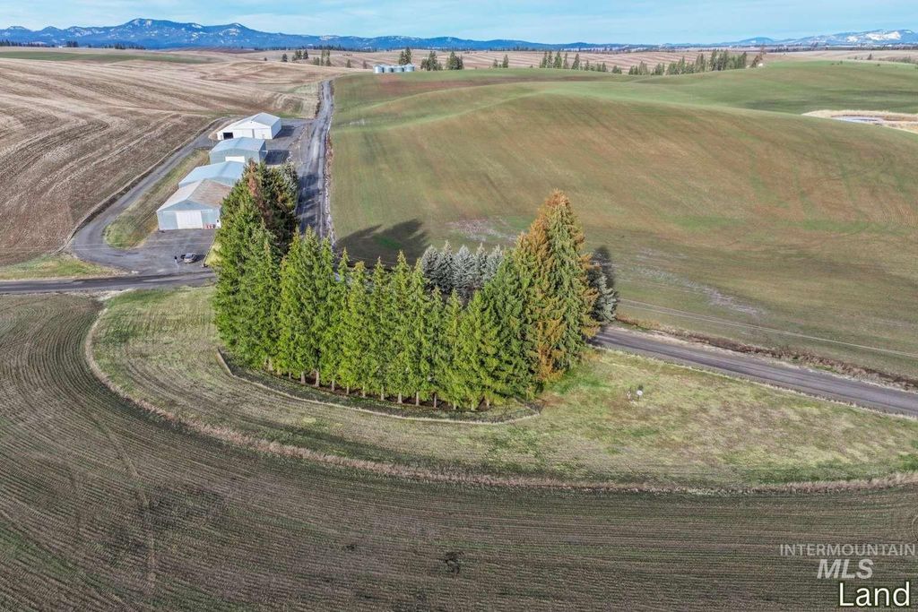 1040 Driscoll Ridge Rd, Troy, ID 83871 photo 5