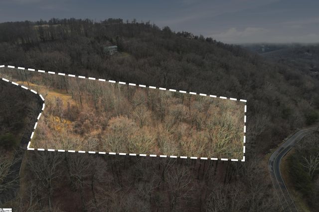 7 Day Lily Road, Landrum, SC 29356