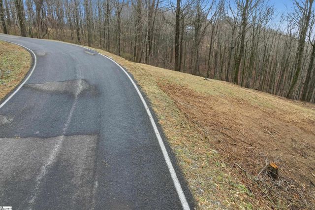 7 Day Lily Road, Landrum, SC 29356