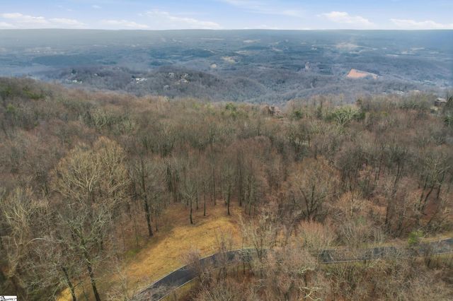 7 Day Lily Road, Landrum, SC 29356