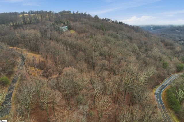 7 Day Lily Road, Landrum, SC 29356