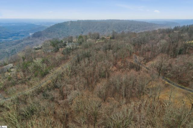 7 Day Lily Road, Landrum, SC 29356