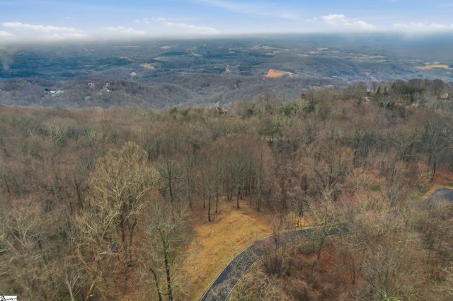 7 Day Lily Road, Landrum, SC 29356