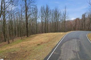 7 Day Lily Road, Landrum, SC 29356