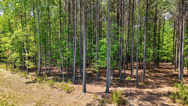 0 Crockett Point Lot 401, Jasper, TN 37347