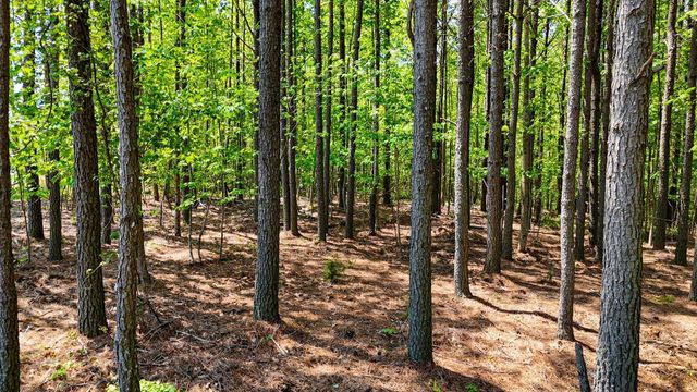 0 Crockett Point Lot 401, Jasper, TN 37347