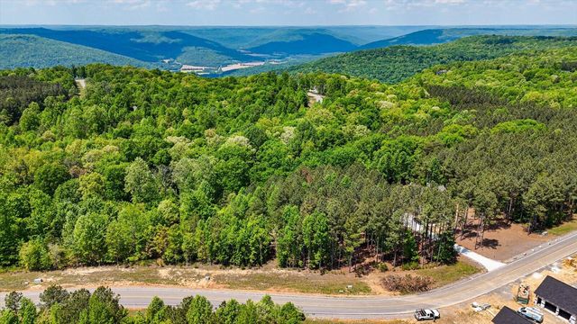 0 Crockett Point Lot 401, Jasper, TN 37347