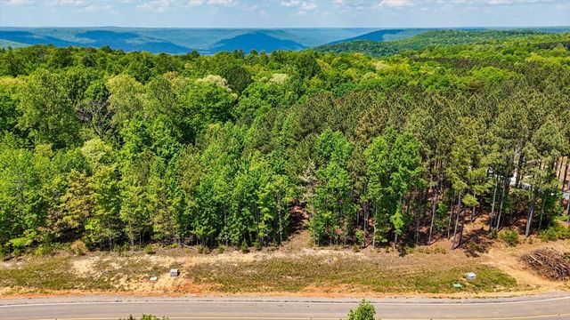 0 Crockett Point Lot 401, Jasper, TN 37347