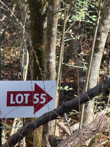 TBD Horace Bonds Road, Livingston, TX 77351