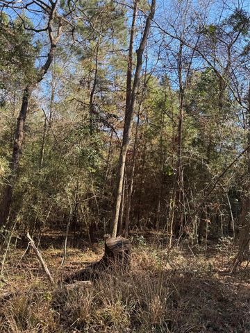 TBD Horace Bonds Road, Livingston, TX 77351