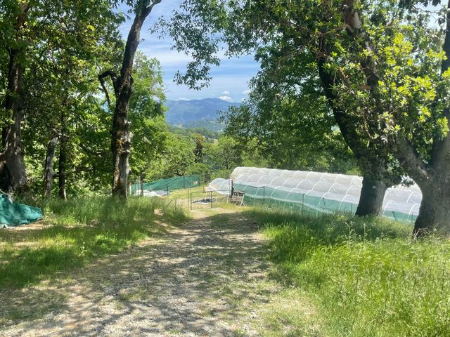 2722 Island Mountain Road, Garberville, CA 95542