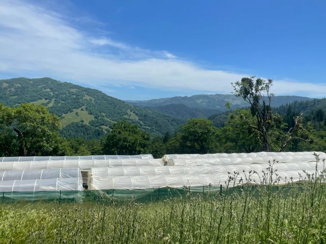 2722 Island Mountain Road, Garberville, CA 95542