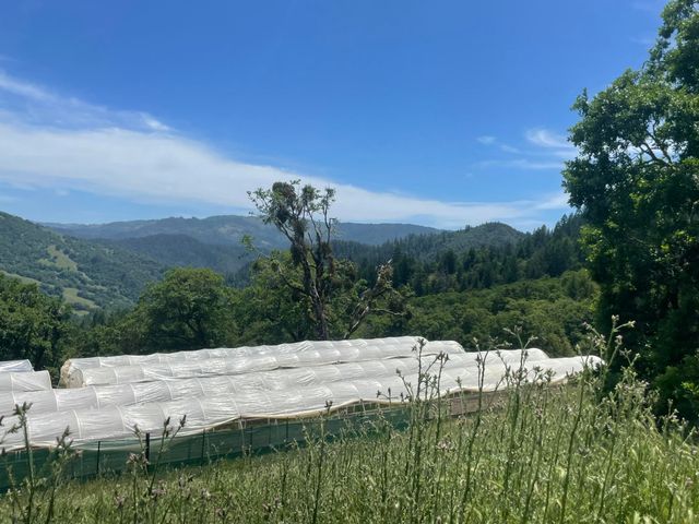 2722 Island Mountain Road, Garberville, CA 95542