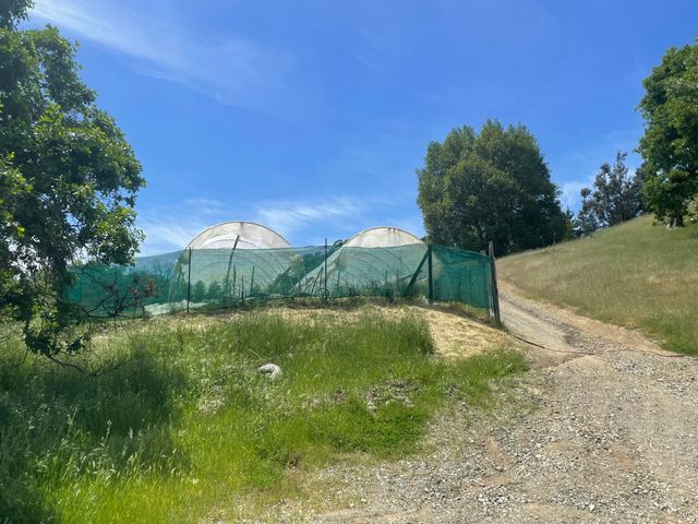 2722 Island Mountain Road, Garberville, CA 95542