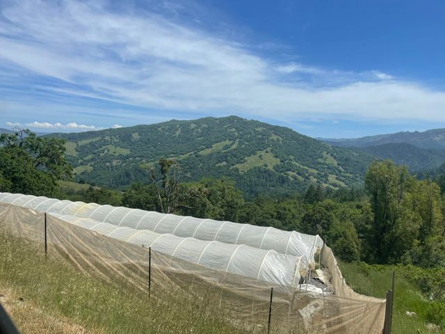 2722 Island Mountain Road, Garberville, CA 95542