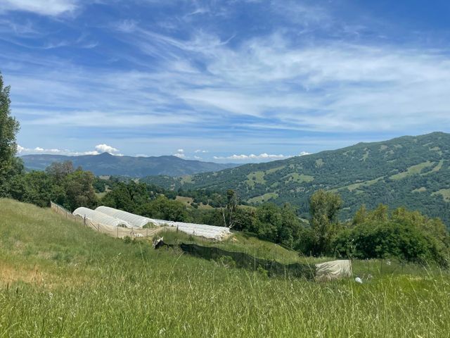 2722 Island Mountain Road, Garberville, CA 95542