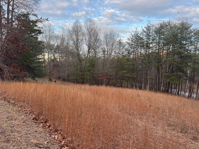 Lot 6 Twin Mountain Road, Hiawassee, GA 30546