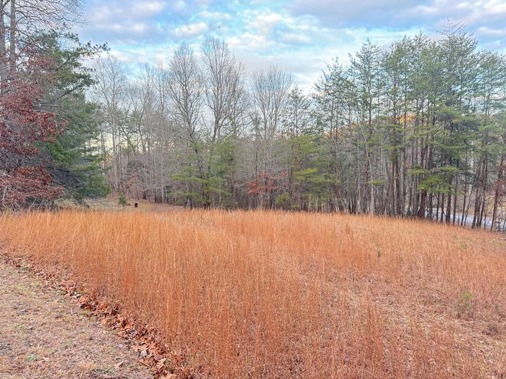 Lot 6 Twin Mountain Road, Hiawassee, GA 30546