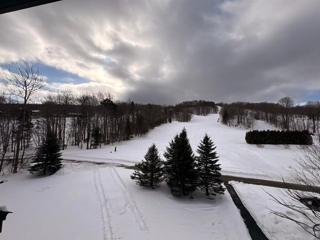 313 Qtr.1, 89 Grand Summit Way, Dover, VT 05356