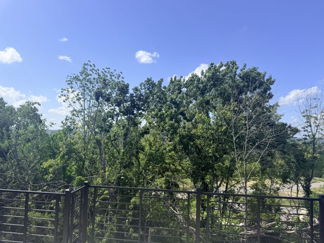 506 City Scape, Nashville, TN 37218