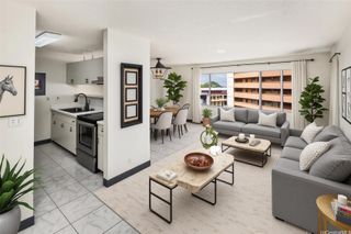 46-261 Kahuhipa Street 312, Kaneohe, HI 96744