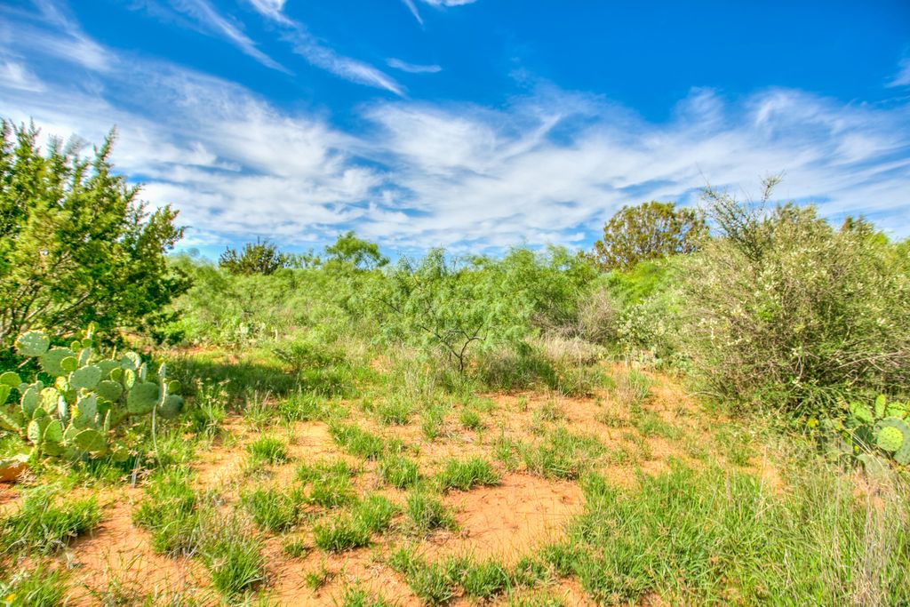 Image 36 of property listing at 4124 E State Highway 158, Bronte, TX 76933