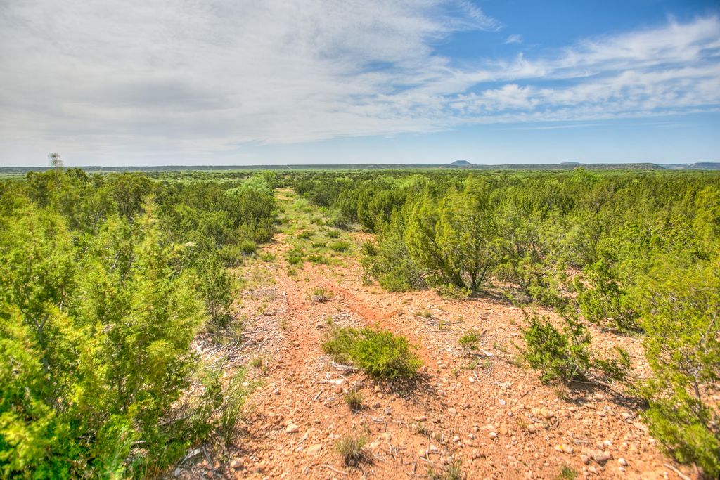 Image 40 of property listing at 4124 E State Highway 158, Bronte, TX 76933