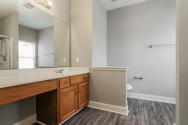 419 Laurel Sage Drive, Houston, TX 77339