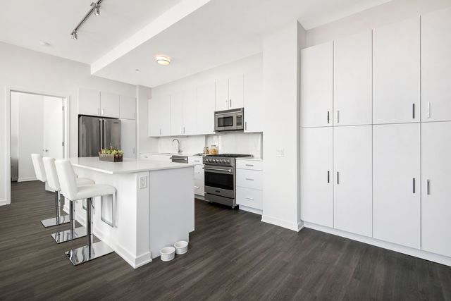 1201 N Lasalle Street 3301, Chicago, IL 60610