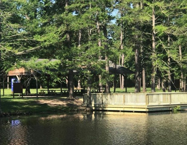 732 Washita Falls Lane, Conroe, TX 77304