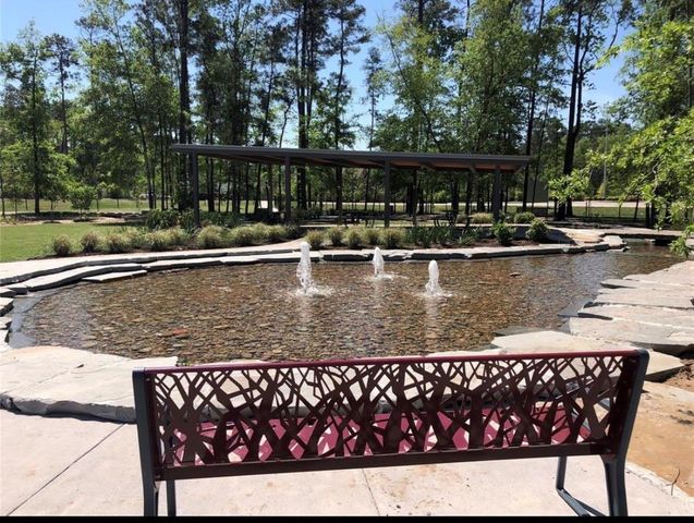732 Washita Falls Lane, Conroe, TX 77304