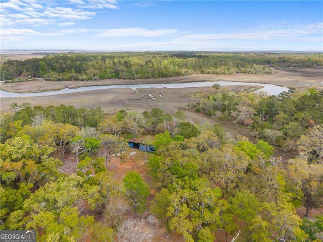 1225 Julienton Drive NE, Townsend, GA 31331